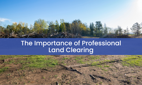 The Importance of Professional Land Clearing